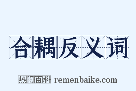 合耦反义词是什么意思的图片